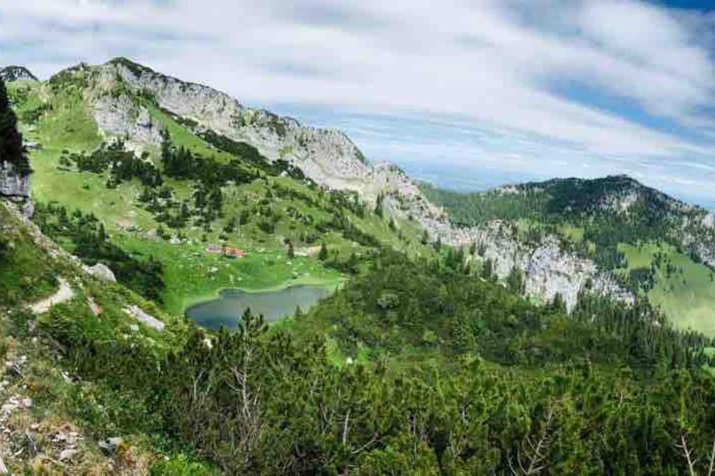 Topmodernes Studio - Sommer Im Bayerischen Inntal Brannenburg Eksteriør bilde