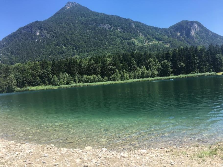 Topmodernes Studio - Sommer Im Bayerischen Inntal Brannenburg Eksteriør bilde